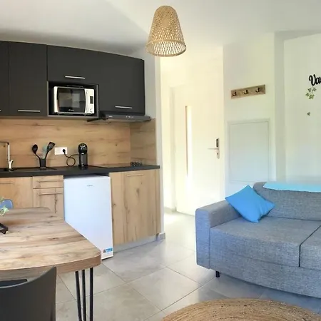 Appartement Résidence Hôtelière Les Hameaux De Saint Cyprien 25 M2 Lecci