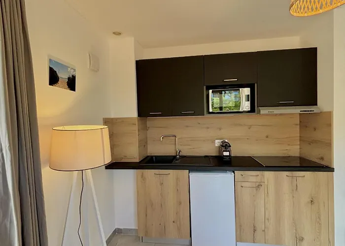 Résidence Hôtelière Les Hameaux De Saint Cyprien 25 M2 Appartamento Lecci