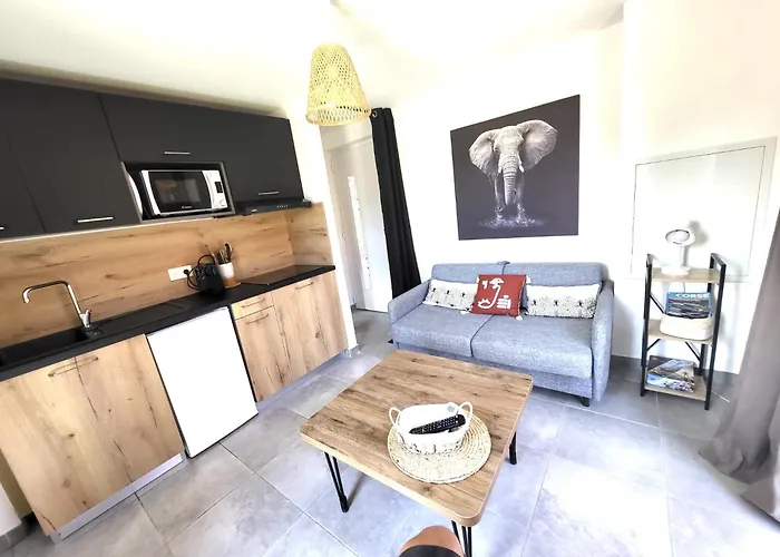 Résidence Hôtelière Les Hameaux De Saint Cyprien 25 M2 Lecci