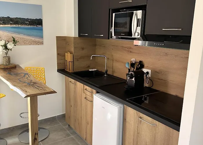 Résidence Hôtelière Les Hameaux De Saint Cyprien 25 M2 * Lecci